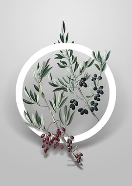 Vintage Wild Olive Flower