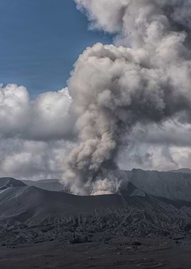 Active Bromo