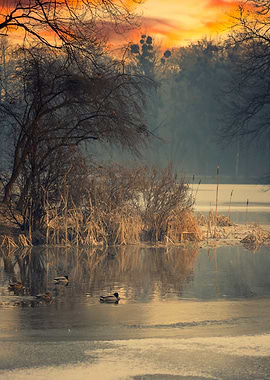 Winter sunrise,lake,trees