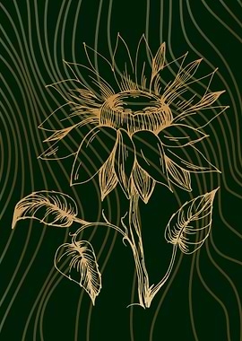 sunflower fields summer v