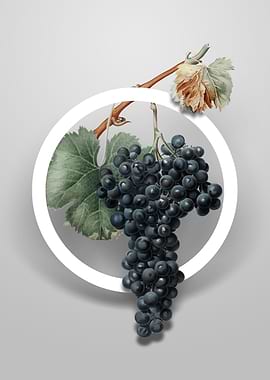 Grape Spanna Flower Circle