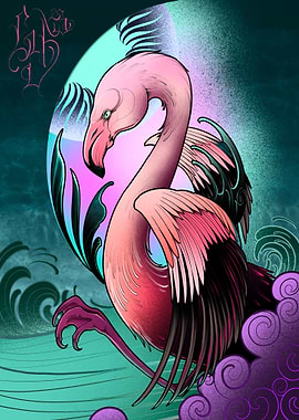 Flamingo