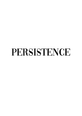 Persistence Motivation