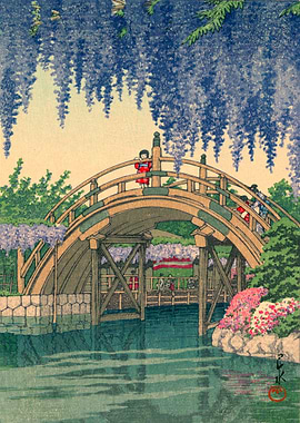 Wisteria at Kameido Kawase