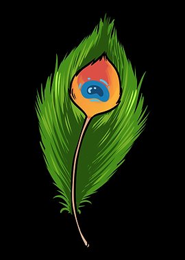 Beautiful Peacock Feather