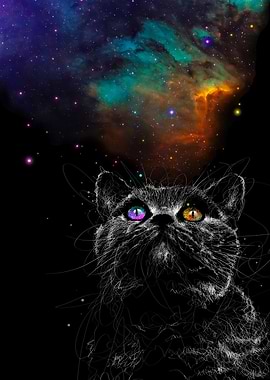 Space cat