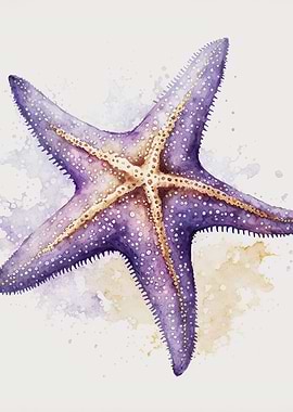 watercolour starfish