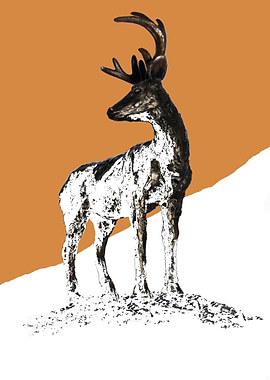 Stag Against Orange Sky