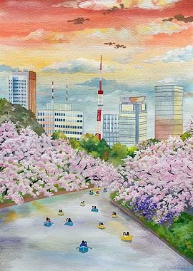 Meguro cherry blossom