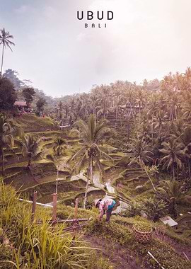 Ubud