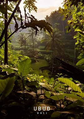 Ubud