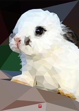 Low Poly White Bunny