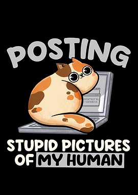 Posting Stupid Pictures