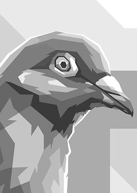 Pigeon Bird Gray