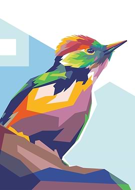 Starling Cute Popart