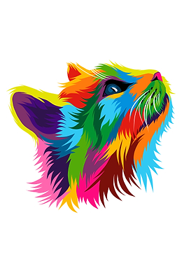 Kitten face portrait