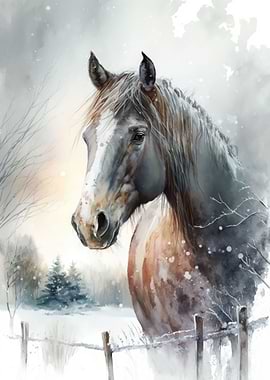 Horse on a snowy day