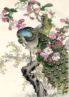Ukiyo e Peacocks Kono