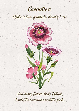 Carnation Language