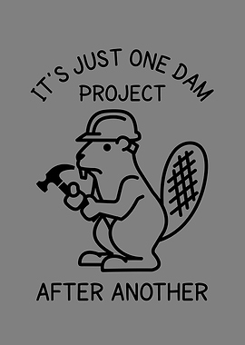Its Just One Dam Project