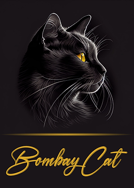 Elegant Bombay Cat