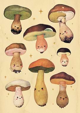 Mushrooms Fantasy