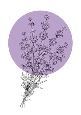 Lavender Line Art Flower