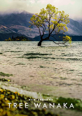 Wanaka