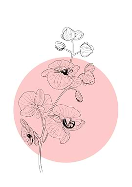 Orchid Line Art Flower