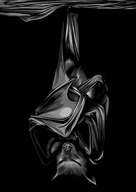 bat black and white color