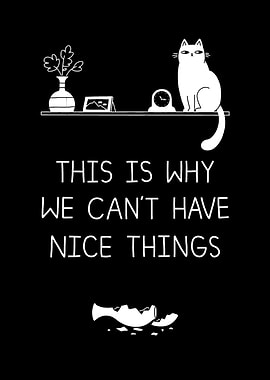 This is why we cant have