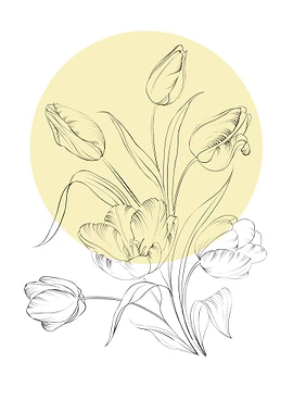 Tulip Line Art Flower