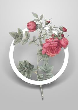 Turnip Roses Flower Circle