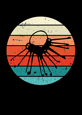 Lock picking tools sunset