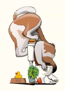 St Bernard using toilet