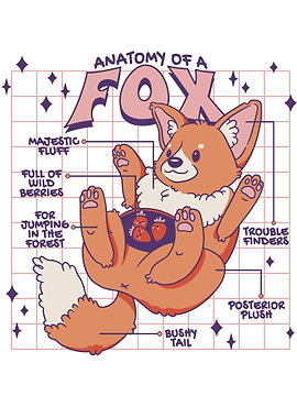 Cute Fox Anatomy