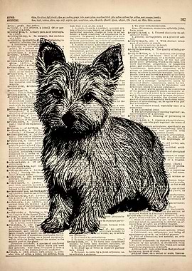 Terrier DOG ILLUSTRATION
