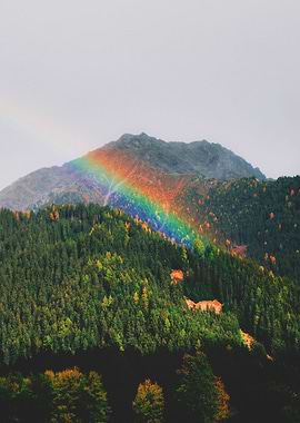 Rainbow