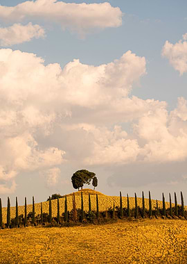 Tuscany