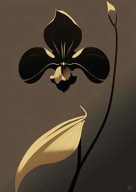 Asian Orchids Minimal Art