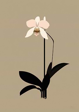Asian Orchids Minimal Art