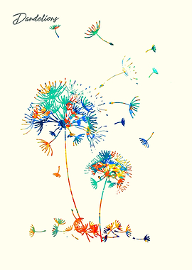 Dandelions