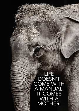 Life doesnt come with