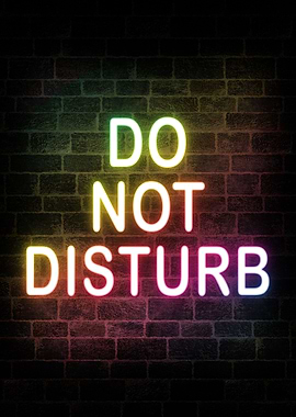 Do Not Disturb Neon Sign