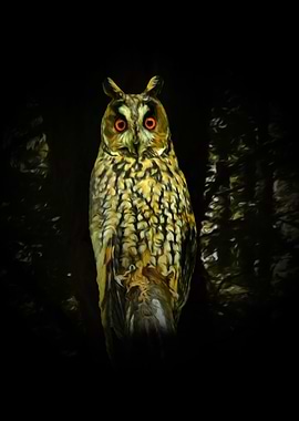 Owl