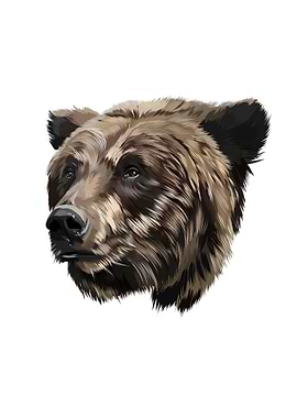 Bear head portrait