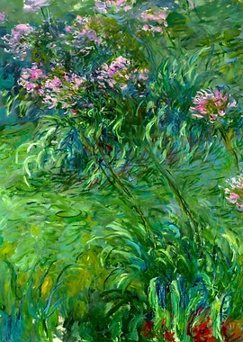 Claude Monet Agapanthus
