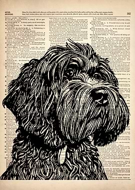 Cockapoo dog art