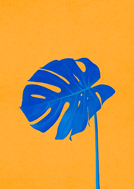 Floral composition 8