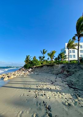 Sand Palm Tropical Beach